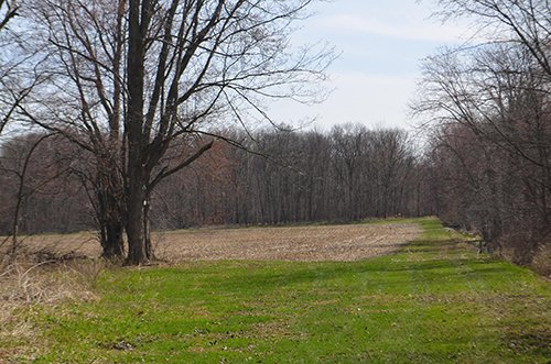Property photo 144 - REAL ESTATE & PERSONAL PROPERTY AUCTION, 140 Acres offered in 8 Tracts or Combinations in Steuben County